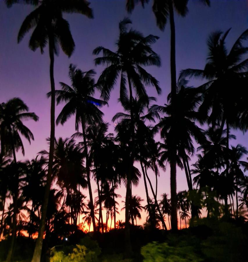 Beachfront Villa Ladha Ya Zanzibar Jambiani  Kültér fotó