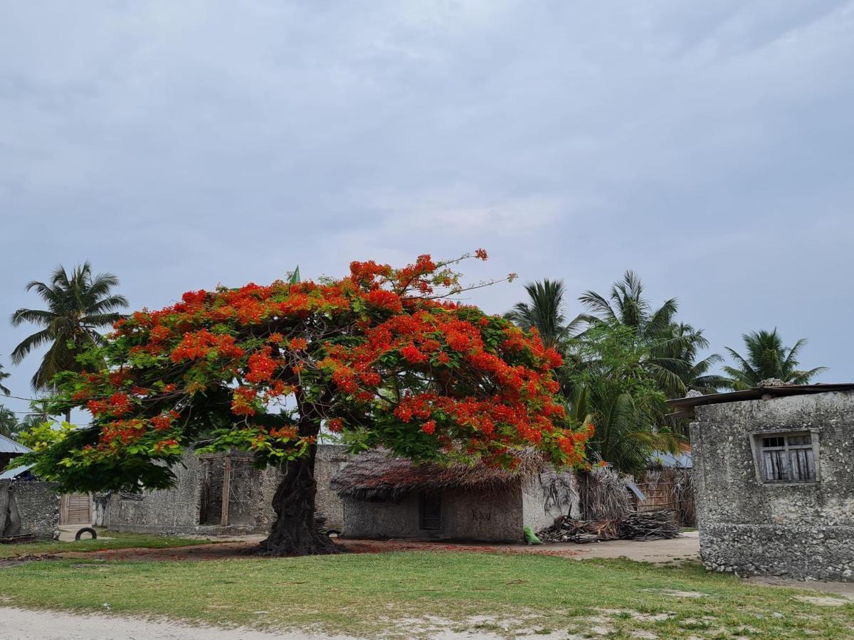 Beachfront Villa Ladha Ya Zanzibar Jambiani  Kültér fotó