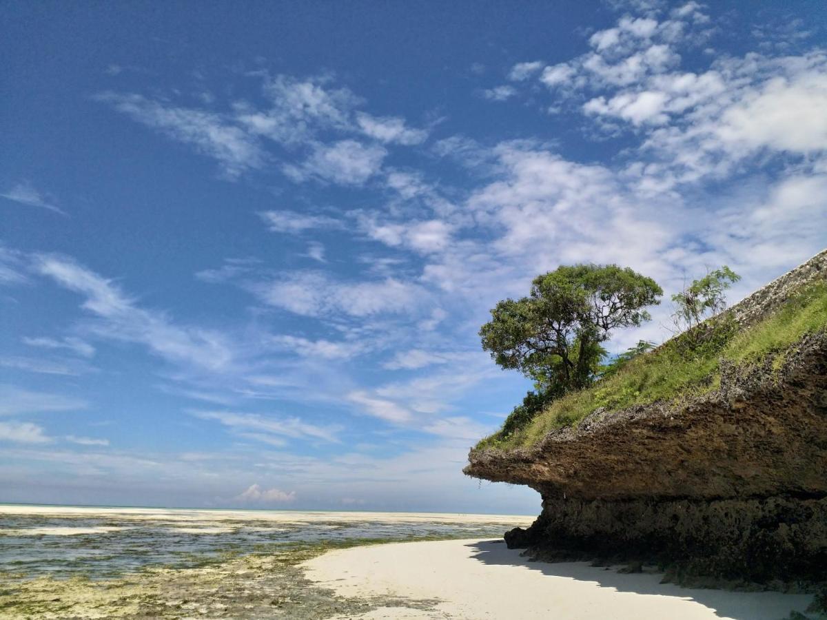 Beachfront Villa Ladha Ya Zanzibar Jambiani  Kültér fotó