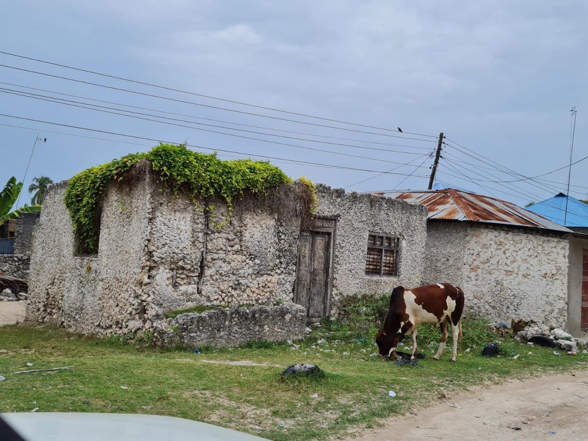 Beachfront Villa Ladha Ya Zanzibar Jambiani  Kültér fotó